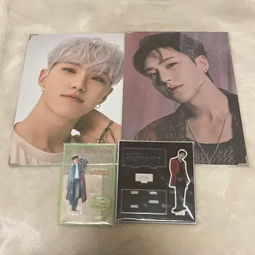 SEVENTEEN Power of love 프리미엄 사진 호시 세트