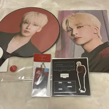 SEVENTEEN Power of love 프리미엄 사진 정한