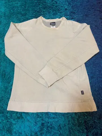 Patagonia 남성용 M 트레이닝복 베이지