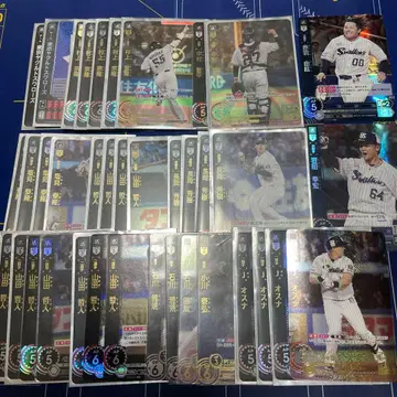 드림 오더 도쿄 야쿠르트 스왈로스 묶음 판매