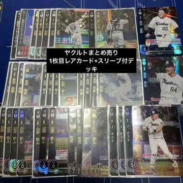 드림 오더 도쿄 야쿠르트 스왈로스 묶음 판매