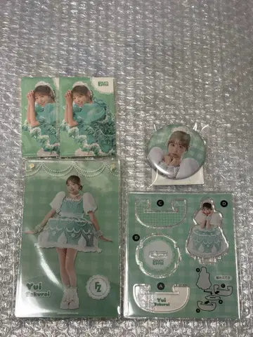 FRUITSZIPPER 사쿠라이 유이 스키 복권 세트