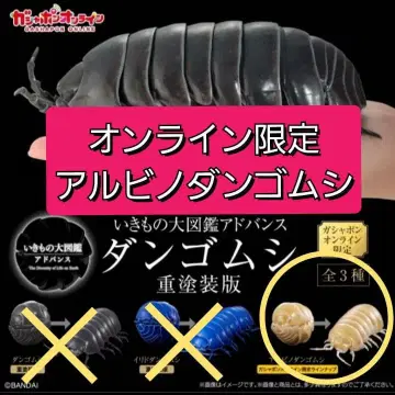 알비노 공벌레 공벌레 중채색판 온라인판 생물대도감 어드밴스