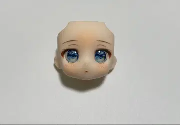 [ 익명 배송 ] 넨도로이드돌 아이 돌 아이 레진 아이 커스텀 페이스