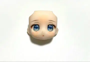 [ 익명 배송 ] 넨도로이드돌 아이 돌 아이 레진 아이 커스텀 페이스