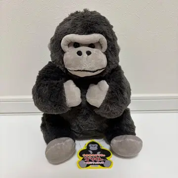 우호우호 고릴라의 고리군 함께 웃호호 JB