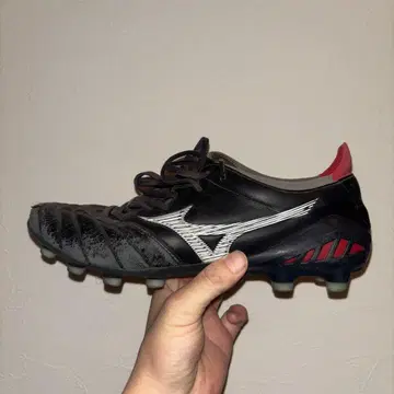 모렐리아 네오 3