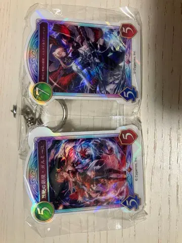 Shadowverse 아크릴 키링 2개 세트