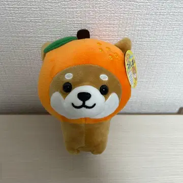 여행하는 마메시바 귤