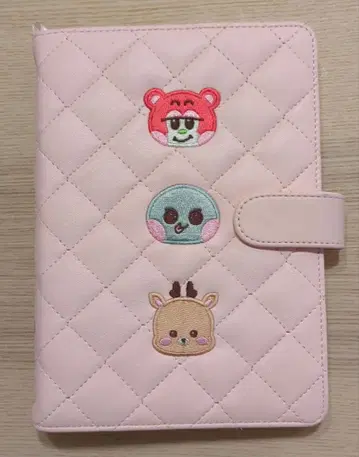 RIIZE 라이즈 HUG MD 바인더