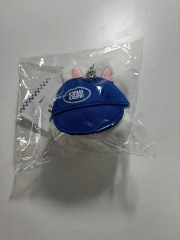 Straykids Leebit KARMA 팝업 키링