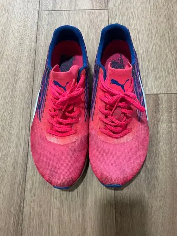 Puma 러닝화 핑크/파랑