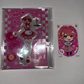 컬러풀 피치 노아 굿즈 세트