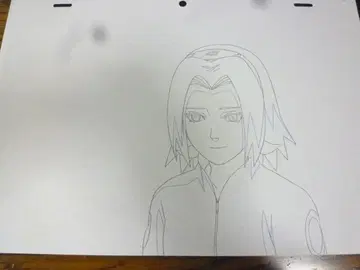 사쿠라 A1 직필 등 레이아웃/원화/수정/동영상 나루토 NARUTO