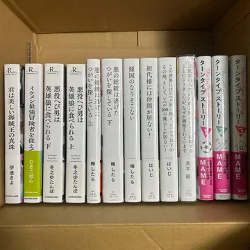 bl 소설 묶음 판매 대형 사이즈