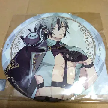 뉴 카니 차렉지 레이 BIG 캔뱃지