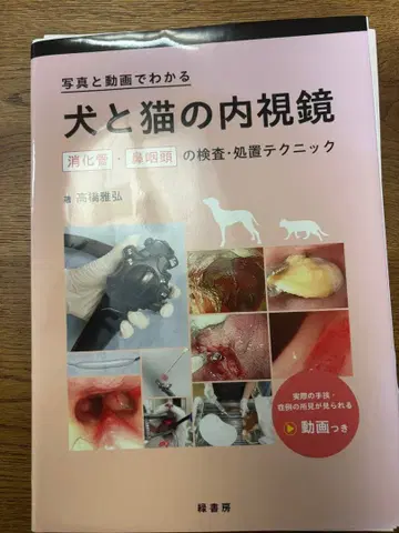 [절단 완료] 개와 고양이의 내시경