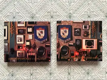 BUMP OF CHICKEN 베스트 앨범 2장 세트