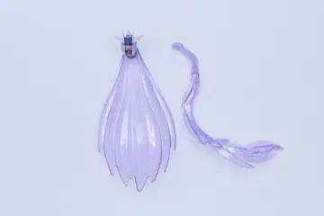 HGBF 디나이얼 건담 머리