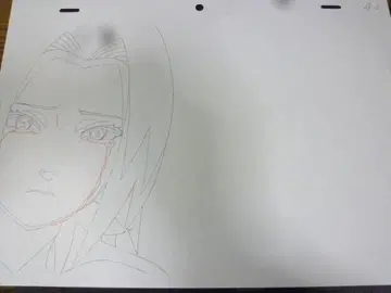 사쿠라 A3 직필 등 레이아웃/원화/수정/동화 나루토 NARUTO