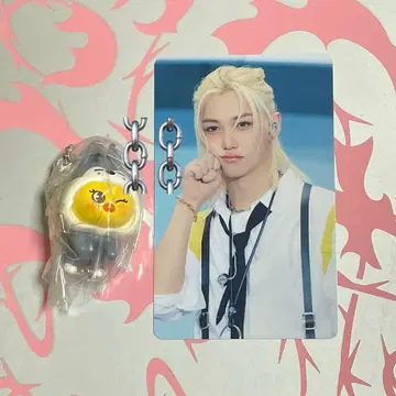 StrayKids TOYWORLD HMV 필릭스