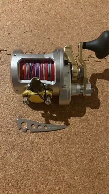 탈리카 베이트 릴