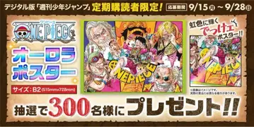 300장 한정판 ONE PIECE 오로라 포스터 B2 사이즈
