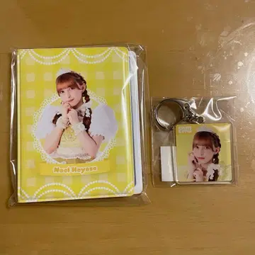 FRUITSZIPPER 하야세 노엘 3주년 스키복권 폴라로이드 파일 키링