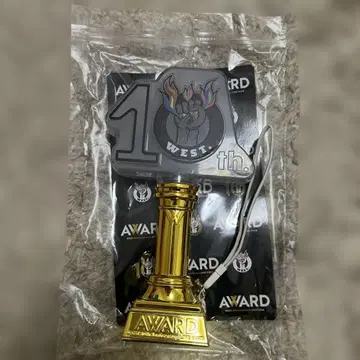 WEST. AWARD 응원봉