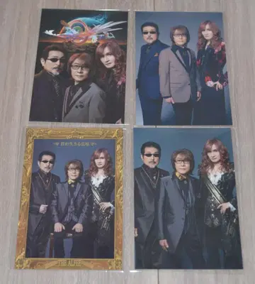 THE ALFEE 네가 살아가는 의미 포토 카드 4장 세트