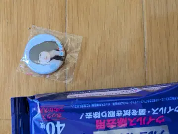 무지개의 콘키스타도르 야마토 씨 캔뱃지