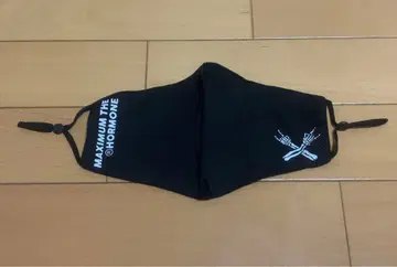 맥시멈 더 호르몬 마스크