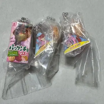 주토피아 팩앤초 3개