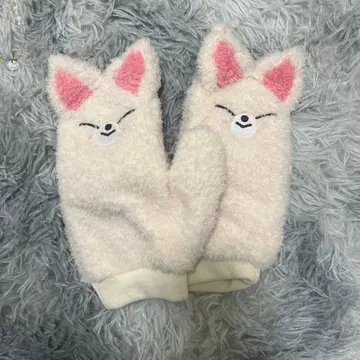 스키즈 아이엔 폭시니 장갑