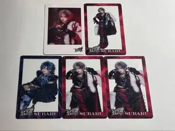 Royz 클리어 카드 폴라로이드풍 트레이딩 카드 스바루