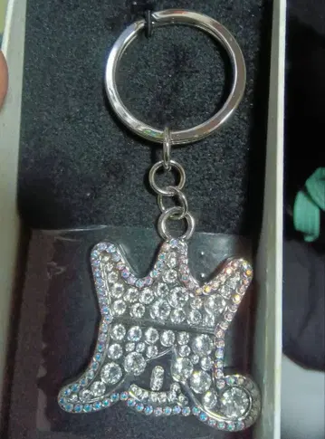 ARASHI 스와로브스키 키링 실버