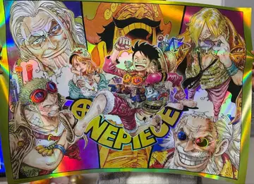 300명 한정판 ONE PIECE 오로라 포스터 B2 사이즈