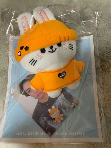 사나다 마사히로 봉제 인형 사진 카세트