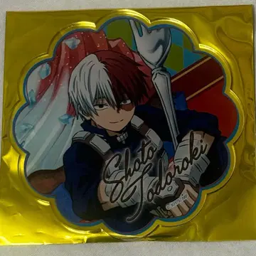 나의 히어로 아카데미아 히로아카 토도로키 오픈스쿨 옵스크 코스터