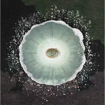 가이아 Siip 상자