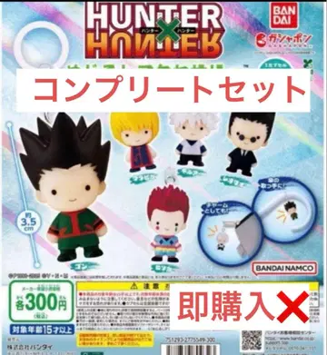 [개봉 완료] HUNTER x HUNTER 메지루시 액세서리 컴프 세트