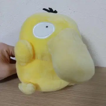 새상품급 포켓몬 포켓몬 인형 코닥 포켓몬 인형 봉제 인형