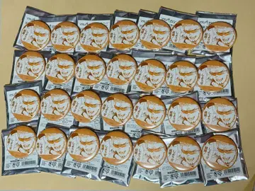 마리지 토키신 캐릭터 배지 컬렉션 벳푸 레오 캔뱃지 28개