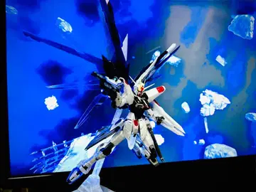 건담베이스 한정판 MG 프리덤 건담 ver.2.0 클리어