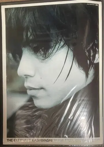 꿈의 조각 엘리펀트 카시마시 포스터