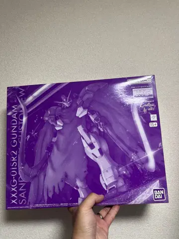 MG 1/100 건담 산드로 개량 EW