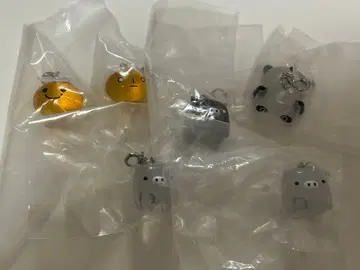 산엑스 메지루시 액세서리