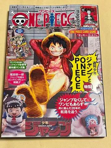 익명 배송! 원피스 매거진 20호