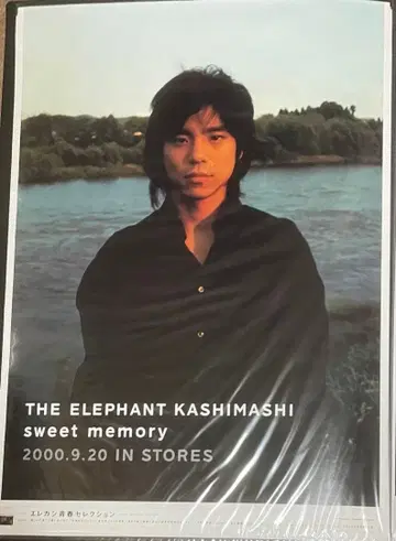 sweet memory 엘리펀트 오크 포스터