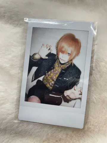 R지정 마모 폴라로이드